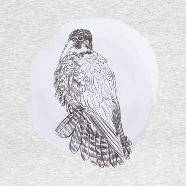 Hand drawn illustration of peregrine forest bird by Lshvsk